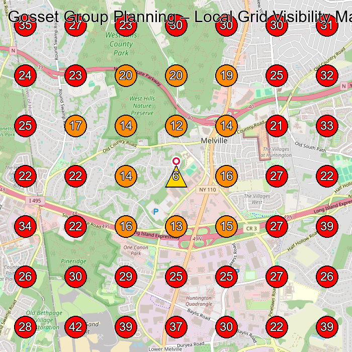 Gosset Group Planning GeoGrid visibility map for Health Insurance Agency in Commack
